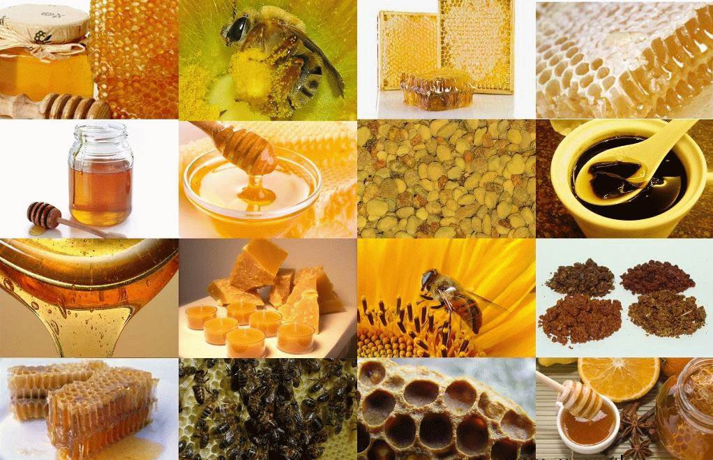 Healing qualities of apiculture products