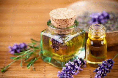 A lipid is an organic compound such as fat or oil.