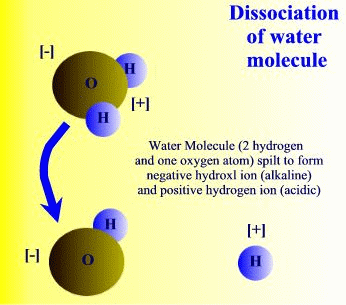 Dissociation of water molecules leads to acidic and basic conditions