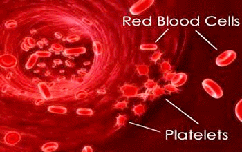 Bicarbonate buffer system in blood