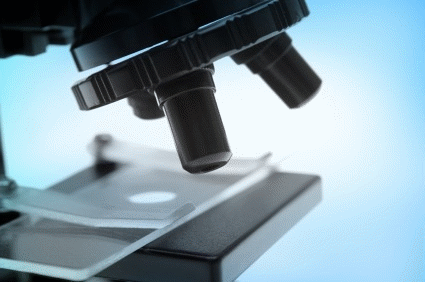 Magnifying small things to view them in greater detail