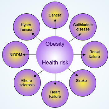Risk factors associated with obesity