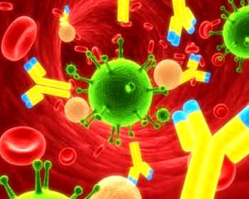 immune system