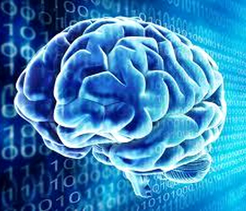 The brain functions are wider than the sky
