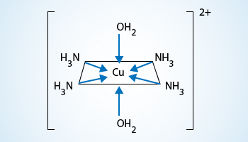 Copper complex ion