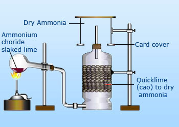 Laboratory preparation