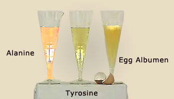 Formation of Xanthoprotein (yellow)