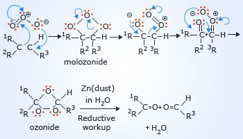 Ozonolysis of Alkenes