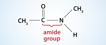 N–methylethanamide