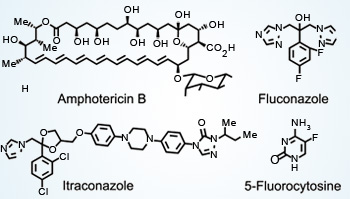 Antifungal Agents