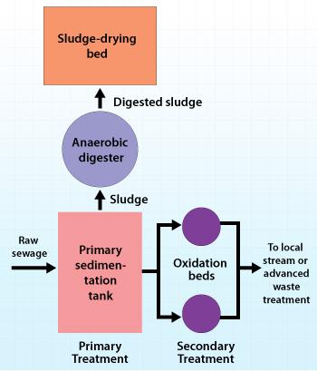 Sewage water treatment