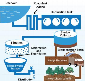 Water Pollution