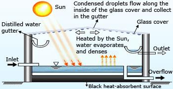 Solar desalination process