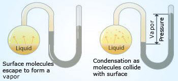 Liquidgas equilibrium