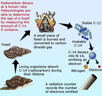 SimplyScience: Carbone (C)
