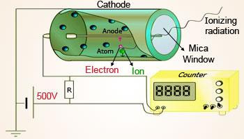 Picture showing construction of Geiger counter