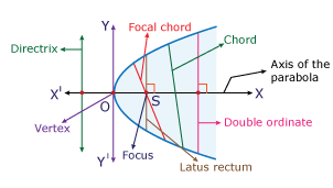 Terms Related to Parabola