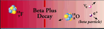 Beta Plus decay emits a positron or (beta+) particle