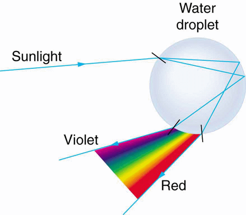 Water droplets present in atmosphere acts as prism which causes rainbow