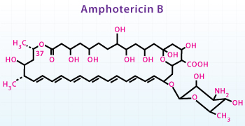 Treating for life-threatening fungal infections