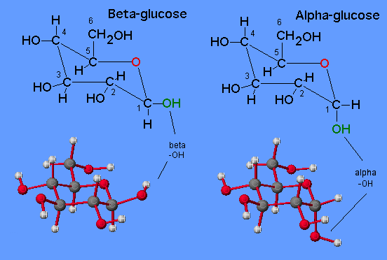 Structures of β and α glucose