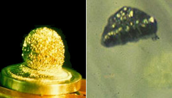  Americium and Curium 