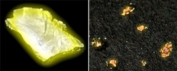 Berkelium and Californium 
