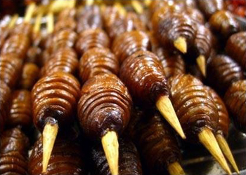 Silkworm as cuisine