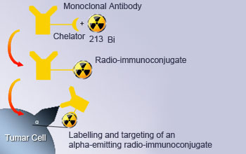  Targeted alpha therapy 